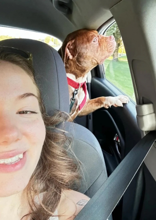 Illustration de l'article : En rentrant de vacances, un couple découvre un Pitbull à l’arrière de sa maison et entame un nouveau projet de vie