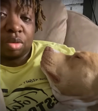 Illustration de l'article : Enfant sage avec sa maîtresse, ce chien devient une pile électrique incontrôlable lorsqu’il est gardé par sa grand-mère (vidéo)