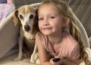 Illustration de l'article : Ce chien errant âgé trouve enfin l’amour pour finir ses jours en paix