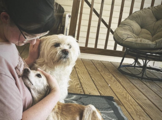 Illustration de l'article : Ce chien errant âgé trouve enfin l’amour pour finir ses jours en paix