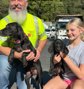 Illustration de l'article : 2 chiens séparés de leur famille par un ouragan sont trouvés sur une route endommagée