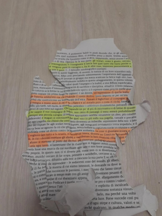 Illustration de l'article : Un étudiant sauve un chat errant qui mange son devoir à rendre pour le lendemain