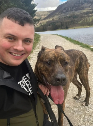 Illustration de l'article : Ce chien de refuge dont personne ne voulait sauve la vie de l’homme qui l’a adopté