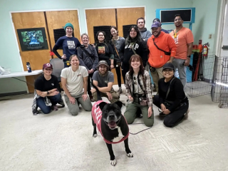 Illustration de l'article : L’équipe d’un refuge se réunit pour fêter l’adoption d’une chienne cherchant une famille depuis 4 ans