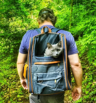 Illustration de l'article : 10 photos de chats et de chiens qui adorent leurs humains