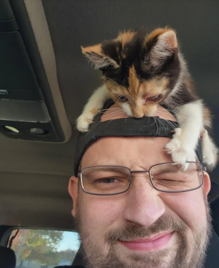 Illustration de l'article : 10 photos de chats et de chiens qui adorent leurs humains