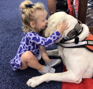 Illustration de l'article : 10 photos de chats et de chiens qui adorent leurs humains