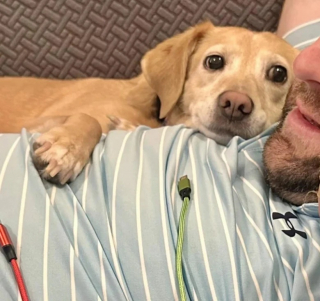 Illustration de l'article : 10 photos de chats et de chiens qui adorent leurs humains