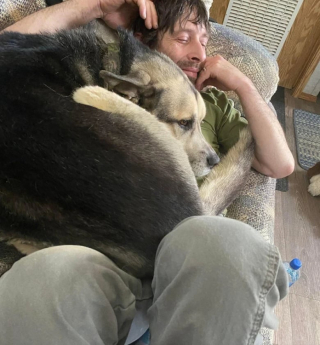 Illustration de l'article : 10 photos de chats et de chiens qui adorent leurs humains