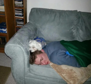 Illustration de l'article : 10 photos de chats et de chiens qui adorent leurs humains