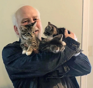 Illustration de l'article : Un couple pensait adopter 2 chats mais tombent amoureux de toute la famille