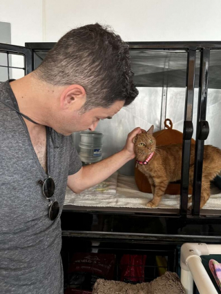 Illustration de l'article : Après 12 ans passés en laboratoire, cette chatte a enfin droit à un véritable foyer