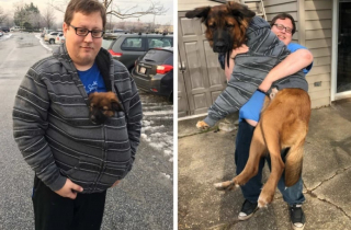 Illustration de l'article : 10 photos de chats et de chiens qui ont grandi de manière impressionnante