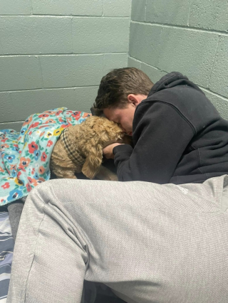 Illustration de l'article : Un couple dépense sans compter pour soigner une chienne blessée trouvée au bord d’une route