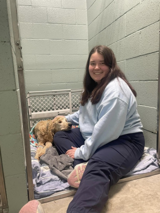 Illustration de l'article : Un couple dépense sans compter pour soigner une chienne blessée trouvée au bord d’une route