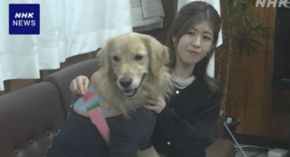 Illustration de l'article : Un chien s’intéresse à une personne âgée dans la rue et permet de résoudre une enquête