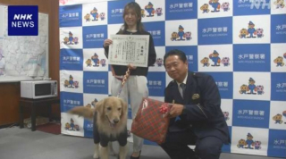 Illustration de l'article : Un chien s’intéresse à une personne âgée dans la rue et permet de résoudre une enquête