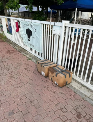 Illustration de l'article : Des chiots assoiffés enfermés dans une boîte en carton sont retrouvés in extremis