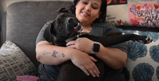 Illustration de l'article : Un chien négligé et malade trouve enfin le bonheur grâce à l’intervention de secouristes