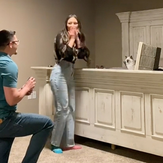 Illustration de l'article : Ce chaton aide un couple amoureux des animaux à faire la demande en mariage parfaite