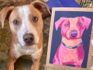 Illustration de l'article : Une artiste récolte des milliers d’euros pour un refuge grâce à ses dessins d’animaux