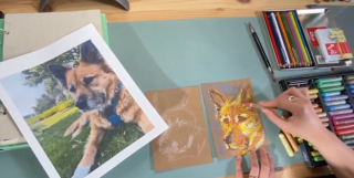 Illustration de l'article : Une artiste récolte des milliers d’euros pour un refuge grâce à ses dessins d’animaux