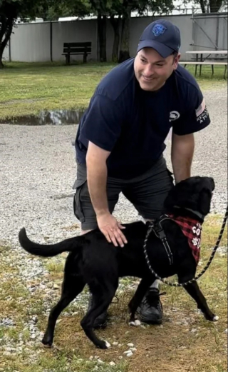 Illustration de l'article : Après 458 jours en refuge, un chien saute dans les bras de son nouveau maître