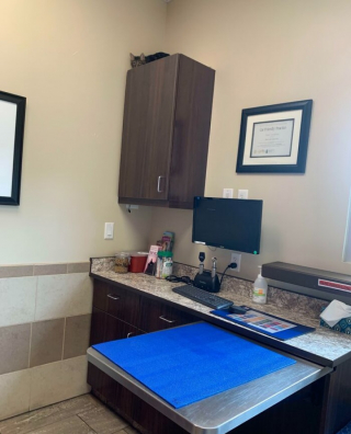 Illustration de l'article : 10 photos de chiens et de chats qui font rire les vétérinaires