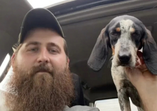 Illustration de l'article : Un an après la perte de son chien, il rencontre une chienne errante qui lui redonne le sourire (vidéo)