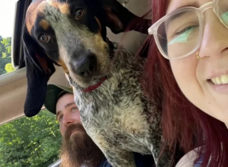 Illustration de l'article : Un an après la perte de son chien, il rencontre une chienne errante qui lui redonne le sourire (vidéo)