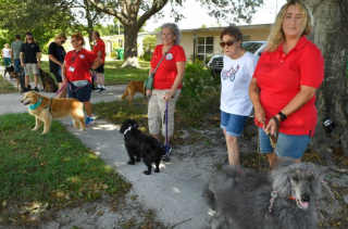 Illustration de l'article : Une femme organise une parade canine pour fêter les 95 ans de son père