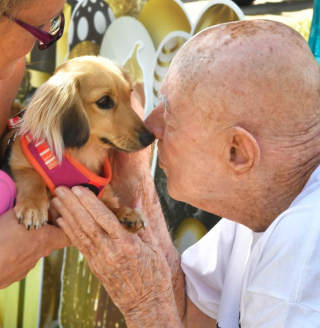 Illustration de l'article : Une femme organise une parade canine pour fêter les 95 ans de son père