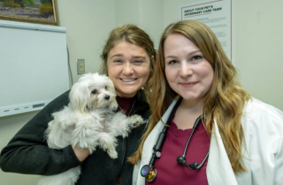 Illustration de l'article : Atteint d’une maladie cardiaque, ce Bichon Maltais a été sauvé grâce à une prouesse chirurgicale