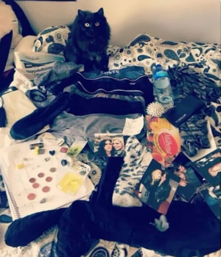 Illustration de l'article : 14 moments où des chats sont pris la patte dans le sac (ou presque)