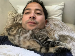 Illustration de l'article : 10 photos de chats qui savent épater leurs propriétaires