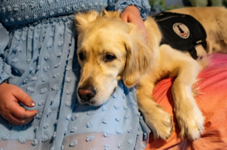Illustration de l'article : Une adolescente souffrant de maladies chroniques retrouve le sourire grâce à son chien d’assistance