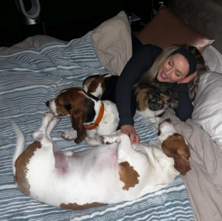 Illustration de l'article : Un chien terrifié s’ouvre enfin à sa maîtresse après des semaines de patience