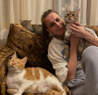 Illustration de l'article : Ce chat aveugle surprend sa famille en étant bien plus courageux que ses amis félins