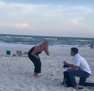 Illustration de l'article : Une Labrador interrompt une demande en mariage en courant se baigner (vidéo)