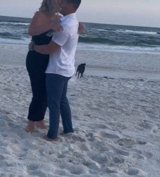 Illustration de l'article : Une Labrador interrompt une demande en mariage en courant se baigner (vidéo)