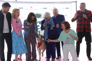 Illustration de l'article : Quel chien acteur obtiendra le prix de la meilleure performance à la Palm Dog 2025 et succédera à Kodi ?