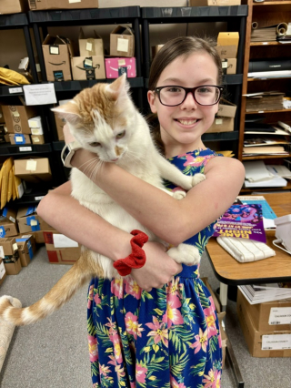 Illustration de l'article : Sauvé alors qu’il était malade, ce chat errant devient la mascotte d’une bibliothèque