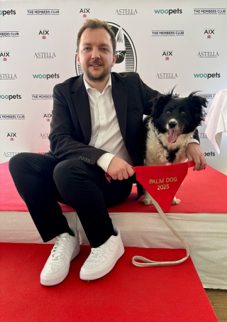 Illustration de l'article : La Palm Dog 2025 est attribuée à Panda, le chien de « The Love That Remains » de Hlynur Pálmason