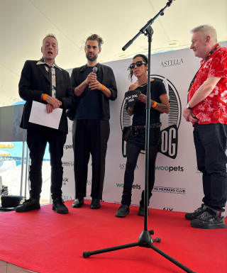 Illustration de l'article : La Palm Dog 2025 est attribuée à Panda, le chien de « The Love That Remains » de Hlynur Pálmason