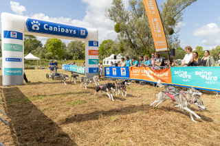 Illustration de l'article : Canidays avec Hill’s : un programme sur-mesure pour les chiens et leur famille en quête d’aventure et de moments complices