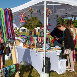 Illustration de l'article : Canidays avec Hill’s : un programme sur-mesure pour les chiens et leur famille en quête d’aventure et de moments complices