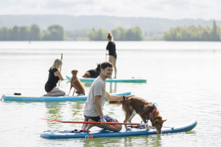 Illustration de l'article : Canidays avec Hill’s : un programme sur-mesure pour les chiens et leur famille en quête d’aventure et de moments complices