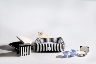 Illustration de l'article : Choupette, la c&eacute;l&egrave;bre chatte de Karl Lagerfeld, s&rsquo;invite chez Maisons du Monde pour une collection exclusive