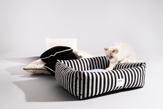 Illustration de l'article : Choupette, la c&eacute;l&egrave;bre chatte de Karl Lagerfeld, s&rsquo;invite chez Maisons du Monde pour une collection exclusive