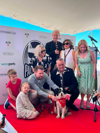 Illustration de l'article : Palm Dog 2026 : rendez-vous le 22 mai pour célébrer les 25 ans du prix dédié aux meilleures performances canines du Festival de Cannes